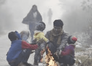 हिवाळ्यात निरोगी राहण्यासाठी ‘या’ पदार्थांचा करा आहारात समावेश