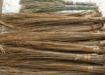 घरात झाडू वापरताना…