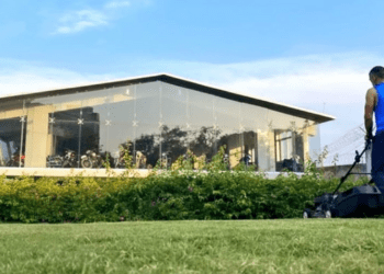 धोनीचे फार्महाऊस बनले नंदनवन, भाजी, दूध उत्पादनांची जोमात विक्री