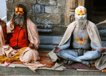 उत्तर प्रदेश – मथुरेत 2 साधूंच्या संशयास्पद मृत्यूने खळबळ, एक गंभीर; भावाने केला हत्येचा आरोप