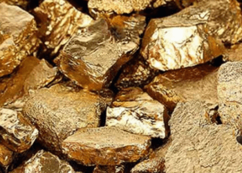 ‘निवार’ चक्रीवादळाने केलं मालामाल! समुद्राच्या तटावर वाहून आलं सोनं