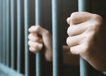 शेतकरी आंदोलनाबाबत आक्षेपार्ह पोस्ट टाकणाऱ्याला चंद्रपूरात अटक