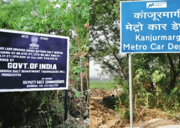 मिठागराचा वापर संपल्यानेच कांजूरची जमीन आमची! राज्य सरकारचा हायकोर्टात युक्तिवाद