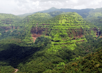 सह्याद्री वाचला! 7 वनक्षेत्रांना ‘काॅन्झर्वेशन रिझर्व्ह’चा दर्जा, राज्य वन्यजीव मंडळा’ची मान्यता