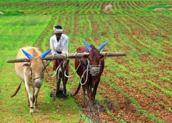 स्वराज्य कोणाचे?