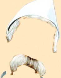 बुद्धीभ्रष्ट