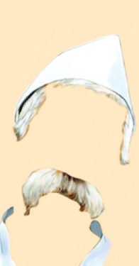 बुद्धीभ्रष्ट