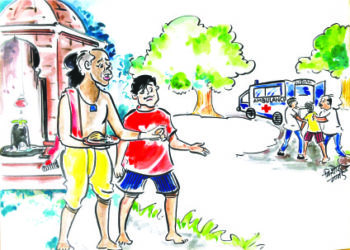 पांढरो गुलाब