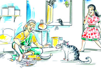 चाळीतल्या बोक्याची गोष्ट!