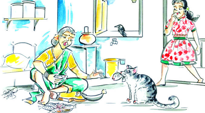 चाळीतल्या बोक्याची गोष्ट!