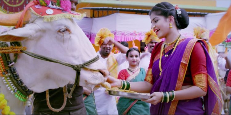 ‘काळी माती’ सिनेमात बैल पोळ्याचे गाणे