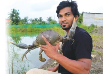 खेकडा वृत्ती नाकारून खेकड्याची शेती…