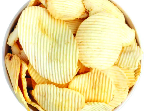 कुरकुरीत वेफर्सचा खुसखुशीत व्यवसाय