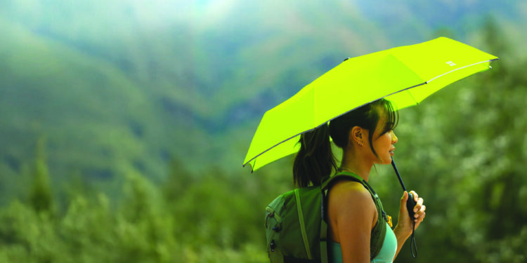 छत्री… नफ्याची खात्री!