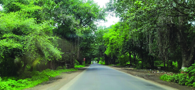 वाईच्या नागरिकांनी घडवला रस्ता आराखड्यात बदल!