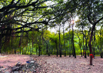 विकासाच्या नावाखाली देश होणार भकास!