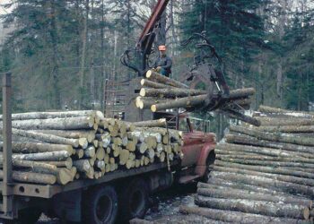 विकासाच्या नावाखाली देश होणार भकास!