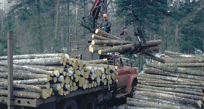 विकासाच्या नावाखाली देश होणार भकास!