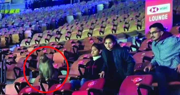 भय इथलं संपत नाही…