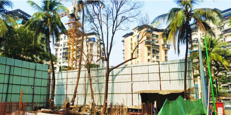 झाडं मारून प्रगती? शेवटी ठरणार आत्मघाती!