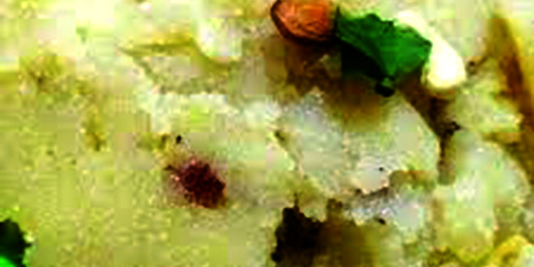 गंध सुवार्तेचा, भाजल्या रव्याचा…