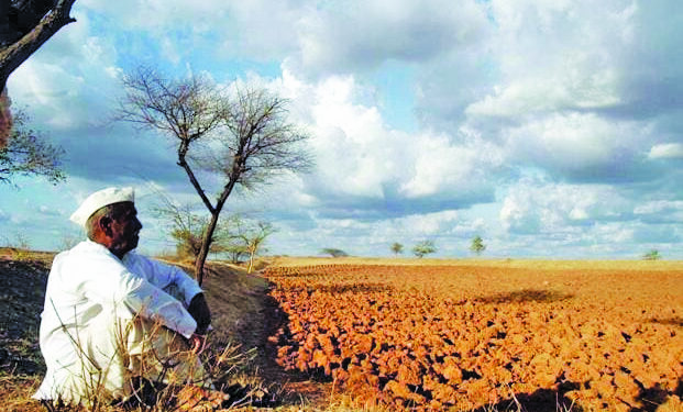 शेती क्षेत्राकडे दुर्लक्ष शेतकरी अनास्थेचे भक्ष्य