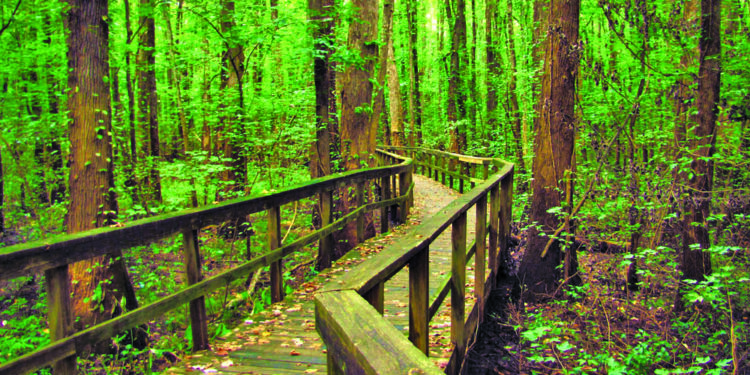 समस्येतून संधी, ढिगार्‍यातून क्रांती