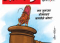झुरळ आणि वाळवी!