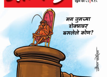 झुरळ आणि वाळवी!