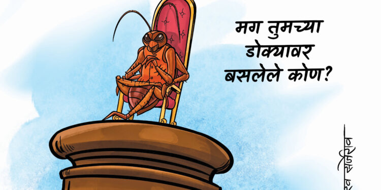 झुरळ आणि वाळवी!
