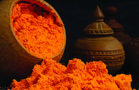 गंध अष्टगंधाचा… नर्मदामाईच्या दातृत्वाचा…