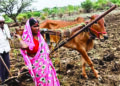 शेतकर्‍यांचा सातबारा कोरा करा, नावे बदलून दिशाभूल नको!