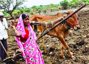 शेतकर्‍यांचा सातबारा कोरा करा, नावे बदलून दिशाभूल नको!