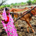 शेतकर्‍यांचा सातबारा कोरा करा, नावे बदलून दिशाभूल नको!