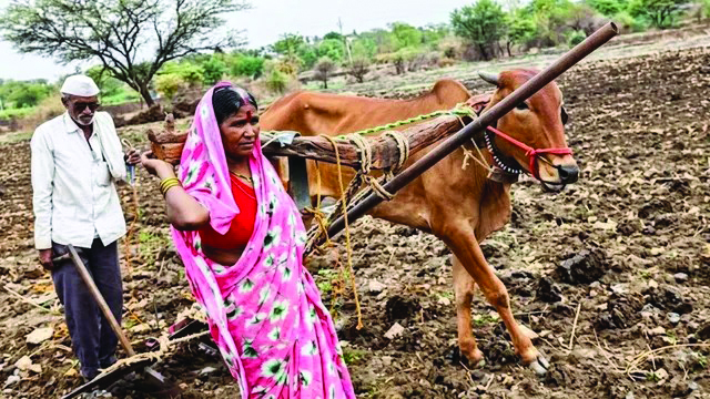 शेतकर्‍यांचा सातबारा कोरा करा, नावे बदलून दिशाभूल नको!