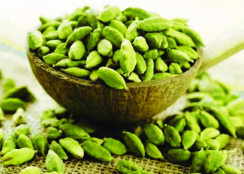 गंध वेलदोड्याचा, कणाने स्वाद वाढविण्याचा…