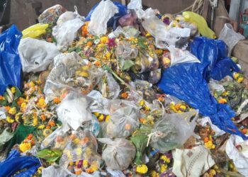 बाप्पा गेले, प्लास्टिक राहिले!