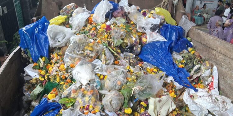 बाप्पा गेले, प्लास्टिक राहिले!