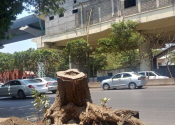 रात्रही तापतेय; हा कसला विकास?