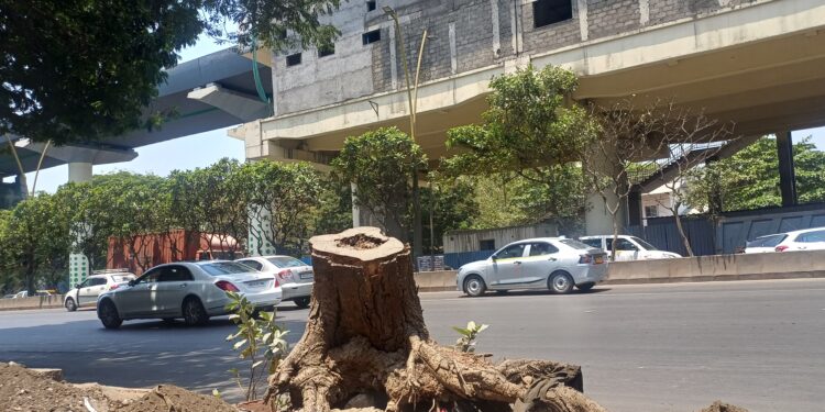 रात्रही तापतेय; हा कसला विकास?