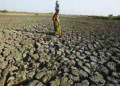 जलसंवर्धनाअभावीच दुष्काळाचे सावट!